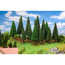 15 grands sapins