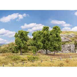 4 arbres à feuilles caduques