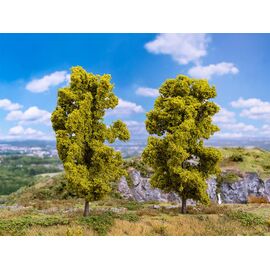 2 frênes