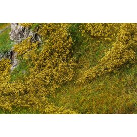 Feuillage vert clair