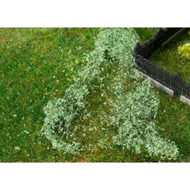 Feuillage vert moyen