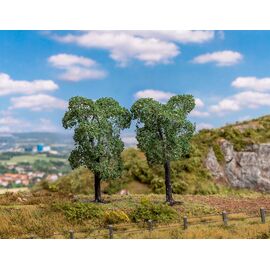 2 arbres fruitiers