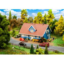 Magasin de village suédois