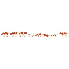 Vaches tachetées de brun