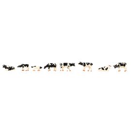 Vaches noir et blanc