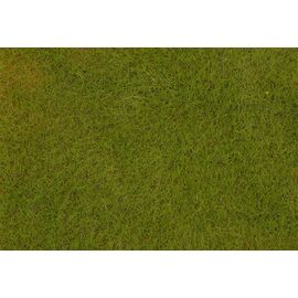 Fibres à saupoudrer PREMIUM Prairie d'été précoce 6 mm 30 g