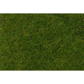 PREMIUM Fibres à saupoudrer Prairie d'été longue 12 mm 30 g