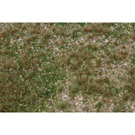 Segment paysager PREMIUM Prairie d'herbes sauvages