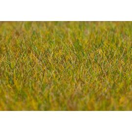 PREMIUM Fibres à saupoudrer Prairie vert clair 6 mm 30 g