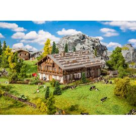 Grosser Alpenhof mit Scheune