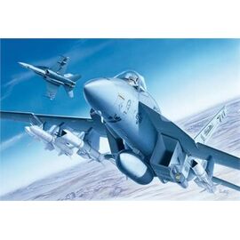 F/A 18E Super Hornet