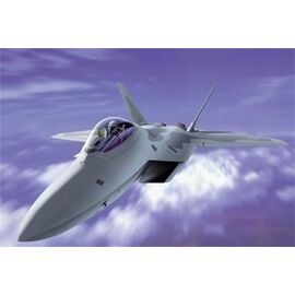 F-22 Raptor