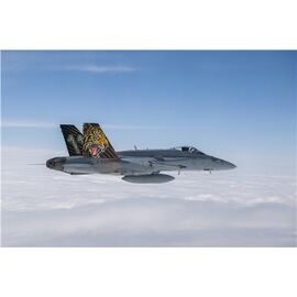 F/A-18 Hornet Tiger Meet 2016