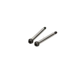 D216 - HINGE PIN SET (OUTER FRONT/2pcs)