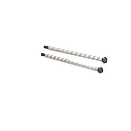 D216 - HINGE PIN SET (OUTER REAR/2pcs)