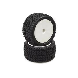 Hobbytech AllTerrain arriere complet 1Paar