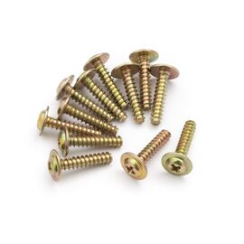 Flange Head Self Tapping Screws PWTHO2.6*12mm