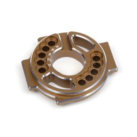 Aluminium-Motorhalterung (Gold)