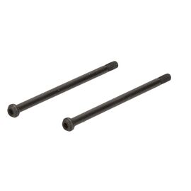 Hinge Pin (Outer/2pcs/D817T)