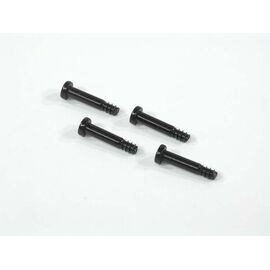STUFENSCHRAUBE 4x20mm (4ST. - SAVAGE .21)