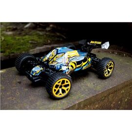 4WD Buggy Beesting