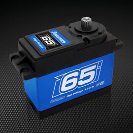 Servo WH-65KG