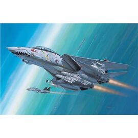F-14D Super Tomcat