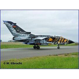 Tornado ECR Tigermeet 2011