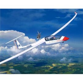 Glider Duo Discus & Engine