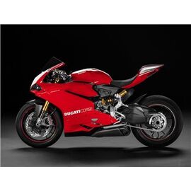 Ducati Superbike 1299 Panigale S  1:4