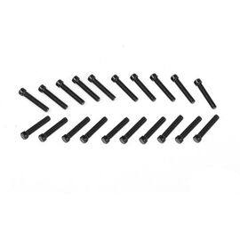 RC4WD Scale Hex Head Bolts M2x10mm Black