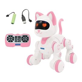 Power Kitty Jr my programmable robot cat!