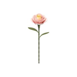 ROKR Light Pink Camellia