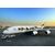 ARW90.03882-Airbus A380-800 Emirates&#255; Wild Life&#255;&#255;
