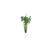 Herbe des prairies vert foncé, 2 image
