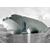 Narrow Road Bridge Broken Span