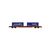 FS Sgnss Containerwagen 2x22 Dani Trasporti Ep VI
