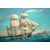 H.M.S. Beagle, 2 image