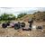 DESERT BUGGY AMP RTR 2WD 1:10 EP, 3 image