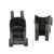 Rear brace Hogzilla, 2 image