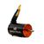 MOTEUR FIRMA 3800Kv BRUSHLESS MOTOR, 2 image