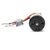 Firma 20T Rebuildable 5 Pole Brushed Crawler Motor, 2 image