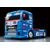 Team Reinert Racing MAN TGS ( TT-01-E)