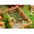 20 plants de poireaux