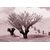 5 haies de ronces PREMIUM, 3 image