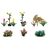 Fleurs dans le jardin de devant, 2 image