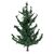 Sapin, 2 image
