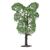 2 arbres fruitiers, 2 image