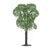 2 arbres fruitiers, 3 image