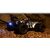 Quantum2 XT 1:10 Stadium Truck - Bleu (Avec radio, batterie non-incluse), 9 image